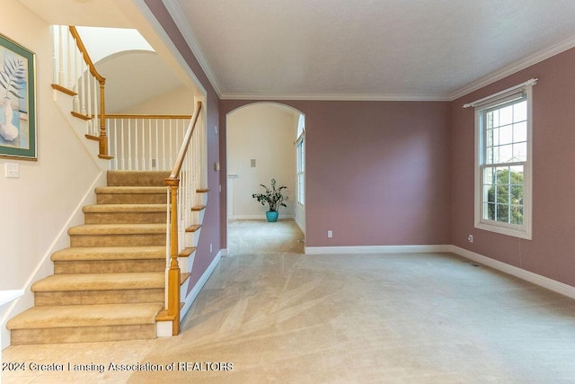 stairs with carpet flooring and crown molding