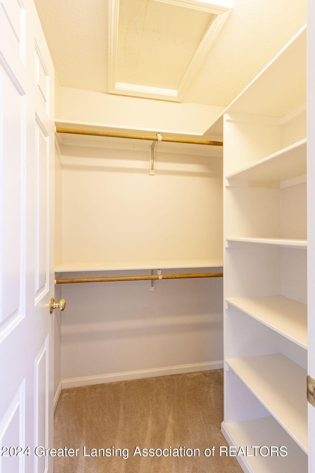 walk in closet featuring carpet floors