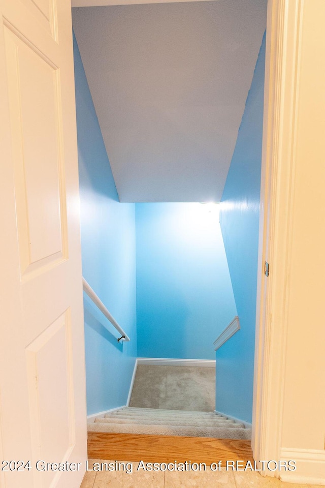 staircase with hardwood / wood-style flooring