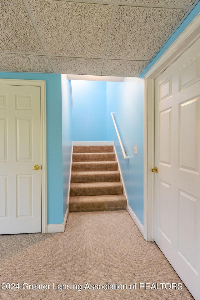 stairs featuring a paneled ceiling and carpet