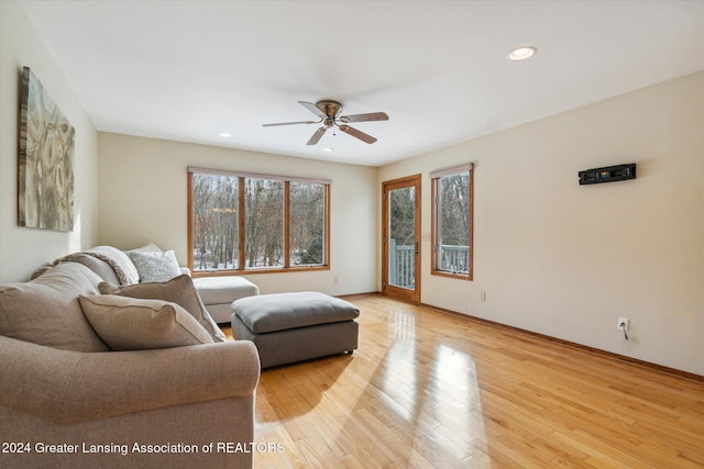 living room with ceiling fan and light wood-type flooring