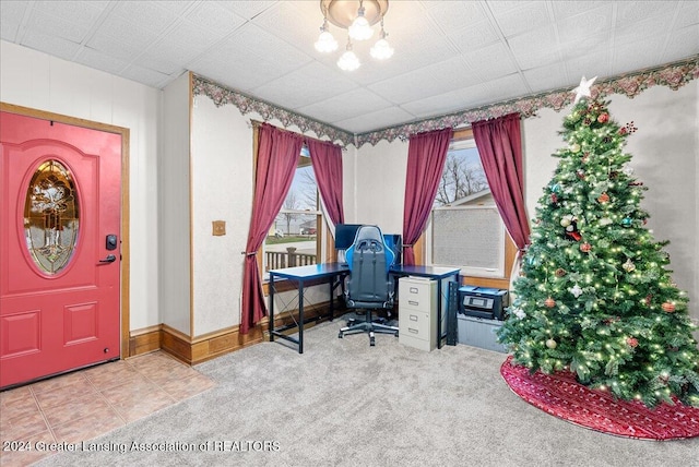 office space featuring a paneled ceiling and carpet floors