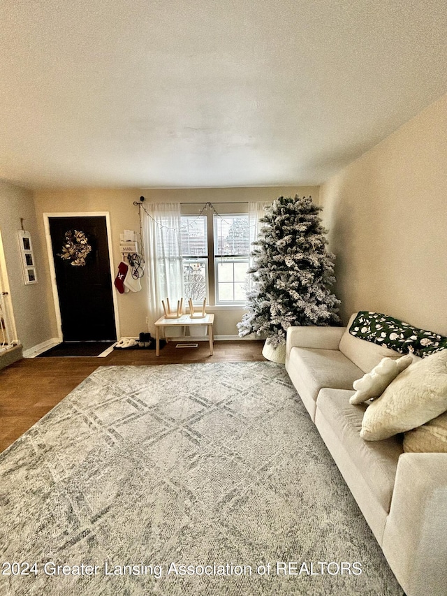 living room with hardwood / wood-style floors and a textured ceiling