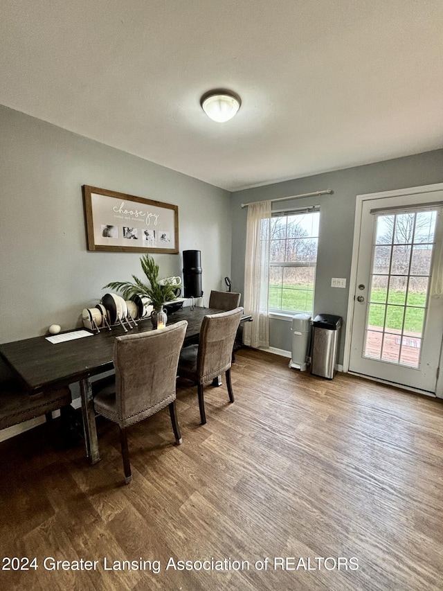 dining space with a healthy amount of sunlight and hardwood / wood-style flooring