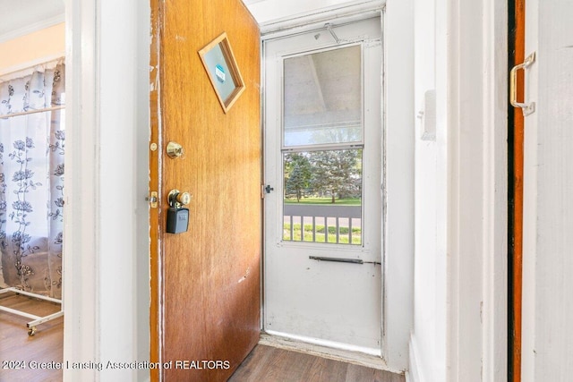 doorway to outside featuring dark wood-type flooring