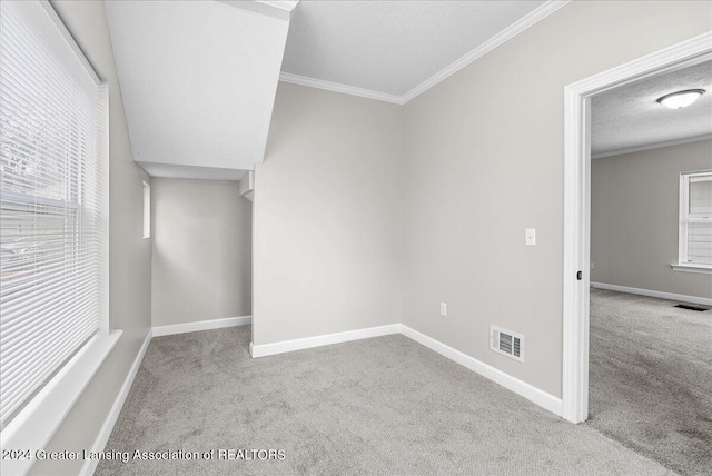 carpeted empty room featuring crown molding and a textured ceiling