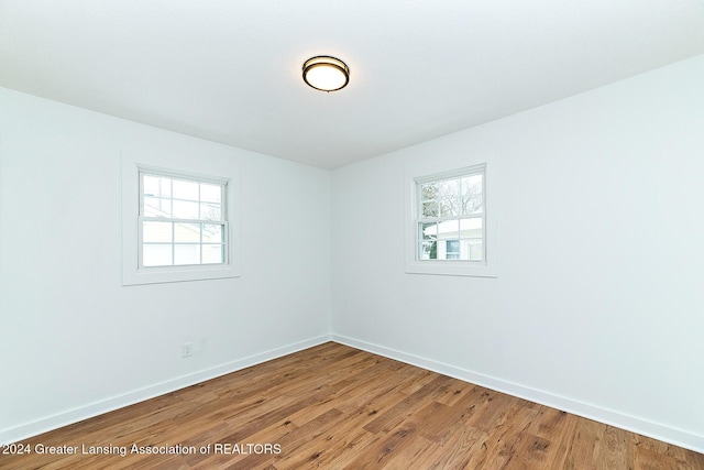 spare room featuring a wealth of natural light and wood-type flooring