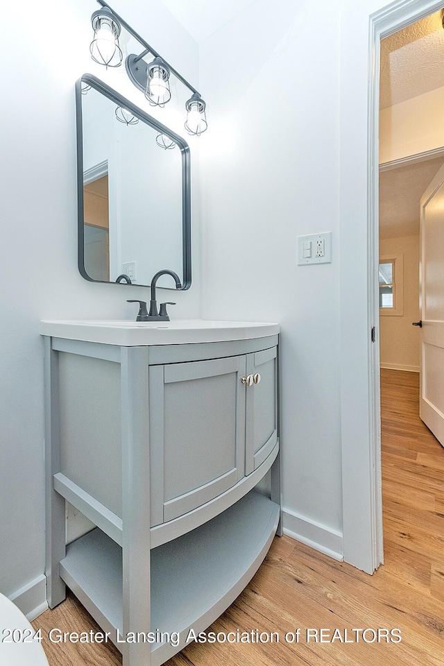 bathroom featuring vanity and wood-type flooring