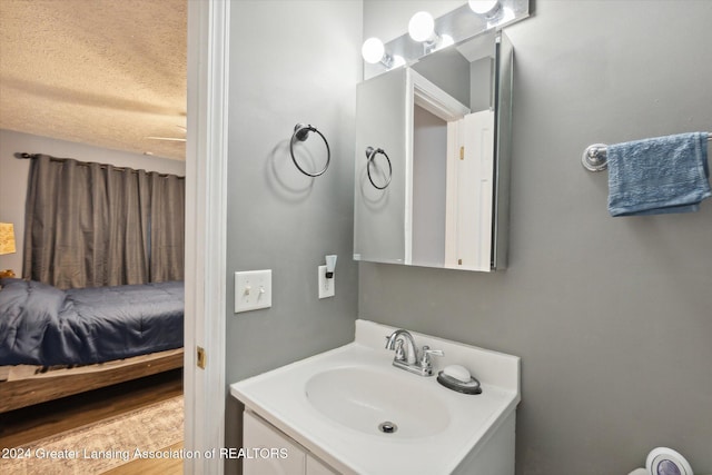 bathroom featuring vanity and a textured ceiling