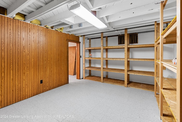 basement with wooden walls