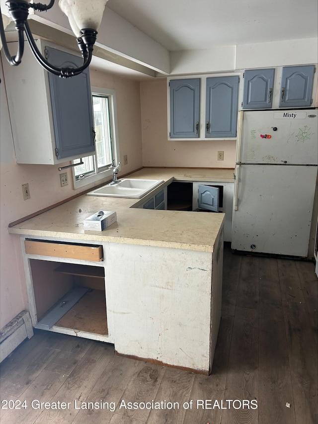 kitchen featuring dark hardwood / wood-style flooring, sink, and white refrigerator