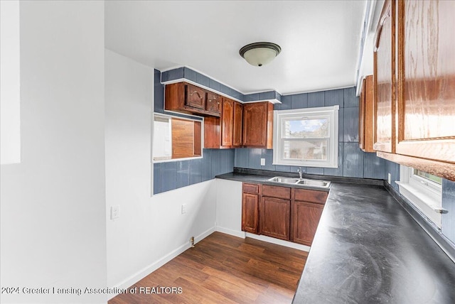 kitchen with plenty of natural light, dark hardwood / wood-style flooring, and sink