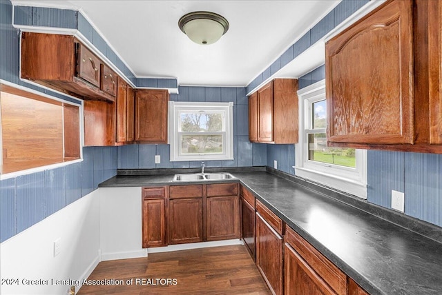 kitchen with dark hardwood / wood-style floors and sink