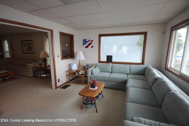 living room with a drop ceiling and carpet