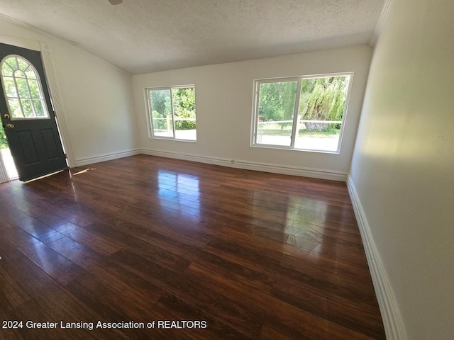 interior space with a textured ceiling, dark hardwood / wood-style flooring, and lofted ceiling