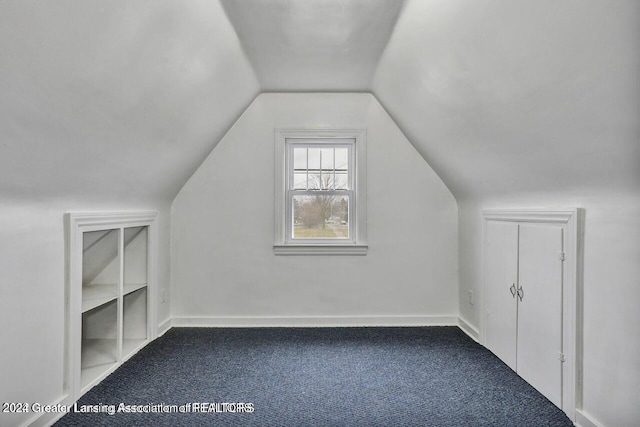 additional living space featuring carpet, built in features, and lofted ceiling