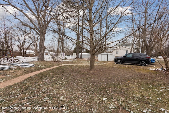 view of yard with a storage unit