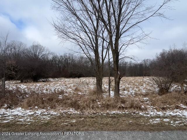 VL Murray Rd, Dansville MI, 48819 land for sale