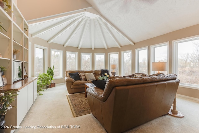 living room featuring light colored carpet, a textured ceiling, and vaulted ceiling