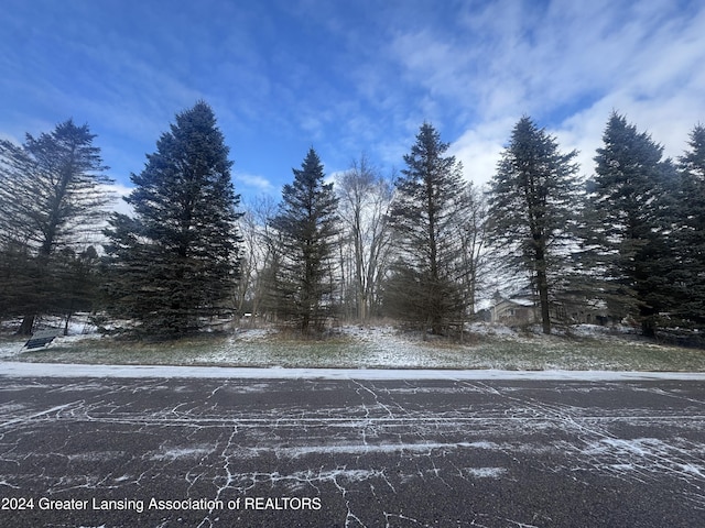 0 Hiddenview Ln, Williamston MI, 48895 land for sale