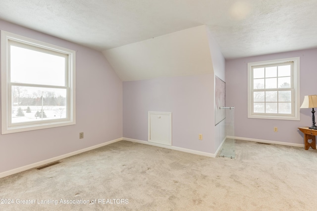 additional living space with light carpet, a textured ceiling, and vaulted ceiling