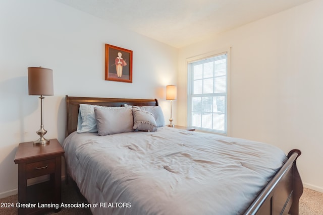 bedroom with carpet floors