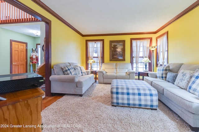 living room featuring crown molding and hardwood / wood-style flooring