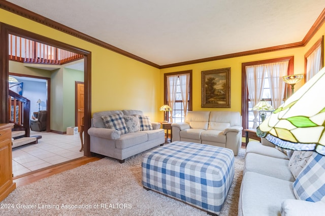 living room with light wood-type flooring, a wealth of natural light, and crown molding