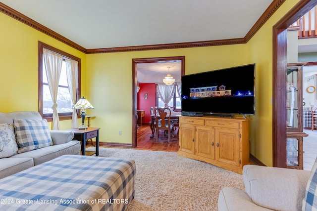 living room with plenty of natural light, crown molding, and light carpet