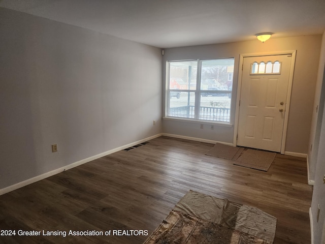 entrance foyer featuring dark hardwood / wood-style flooring