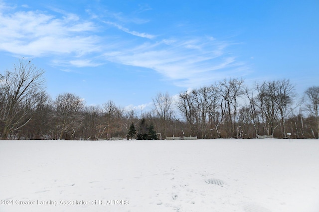 view of yard covered in snow