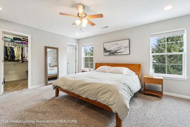 bedroom featuring a spacious closet, ceiling fan, carpet floors, and a closet