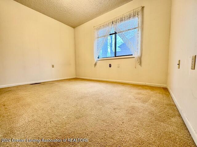 empty room featuring a textured ceiling and carpet