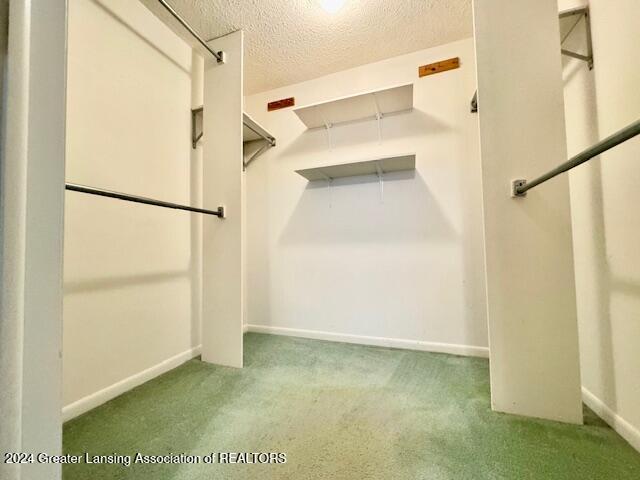 spacious closet with carpet flooring