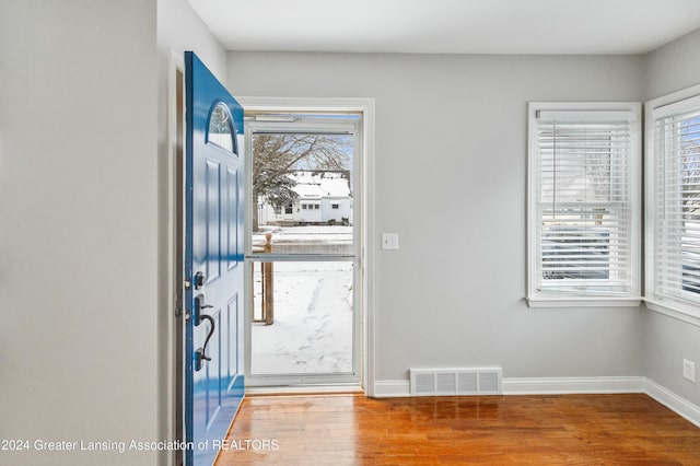 entryway featuring hardwood / wood-style flooring