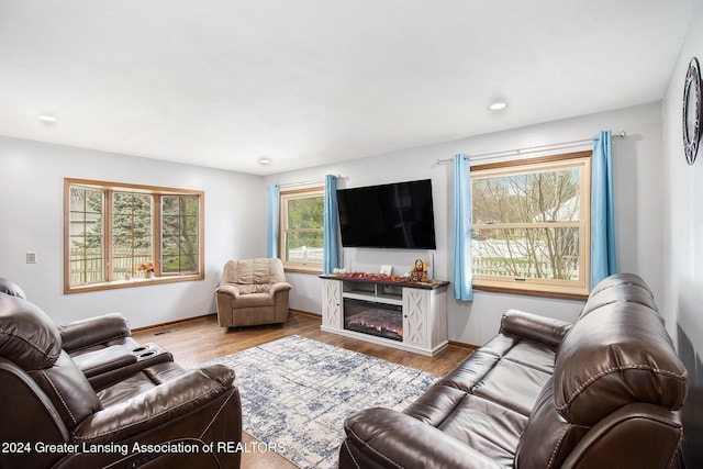 living room featuring light hardwood / wood-style floors and a wealth of natural light