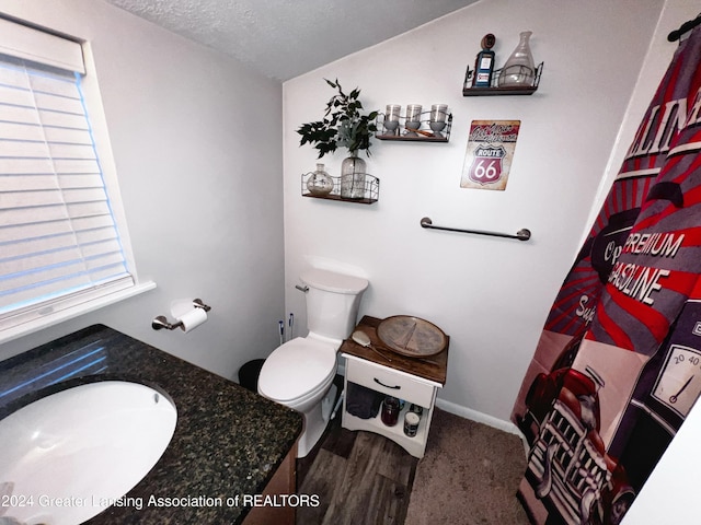bathroom with vanity, a textured ceiling, and toilet