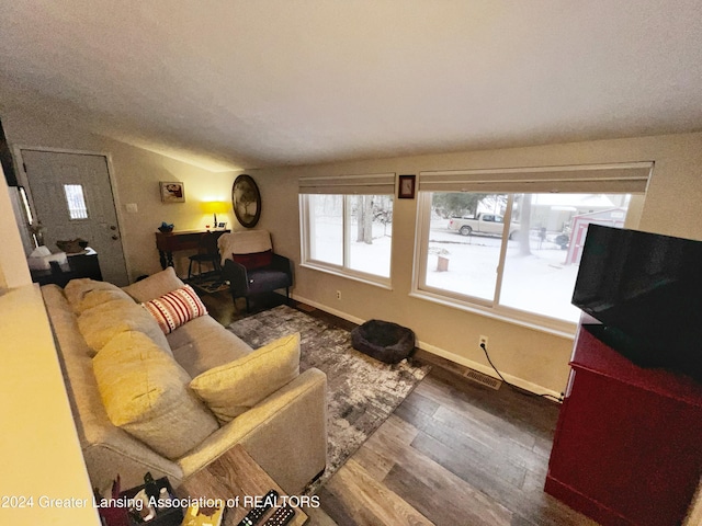 living room with lofted ceiling and dark hardwood / wood-style floors