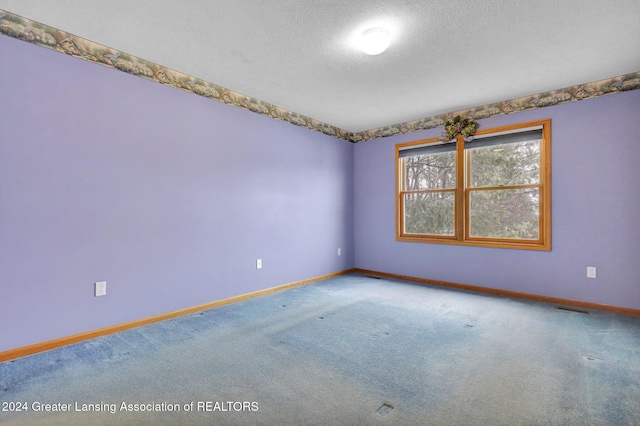 empty room with carpet flooring and a textured ceiling