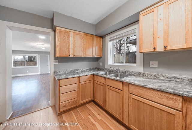 kitchen with light stone countertops, light hardwood / wood-style flooring, a wealth of natural light, and sink