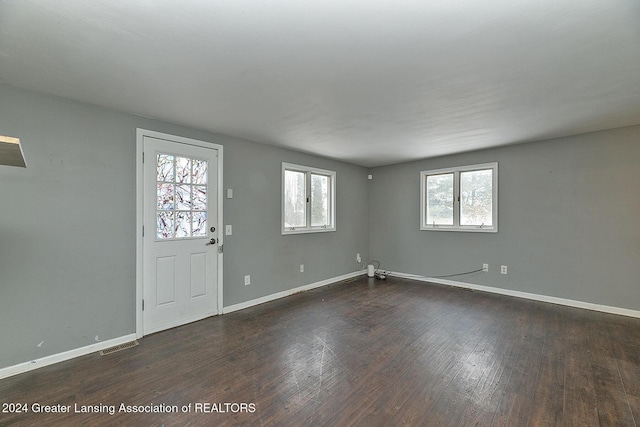 entryway featuring dark hardwood / wood-style floors and a healthy amount of sunlight