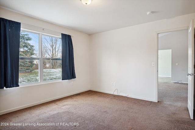 carpeted spare room featuring a wealth of natural light