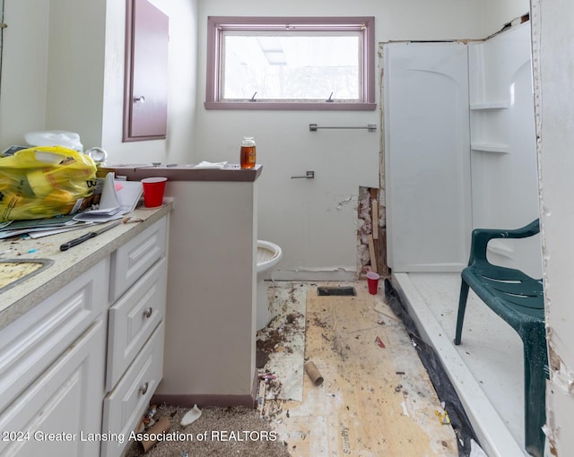 bathroom featuring vanity, toilet, and a shower