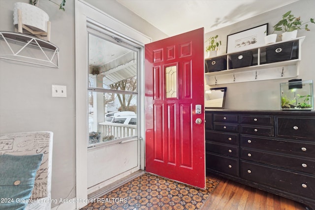 foyer with hardwood / wood-style flooring