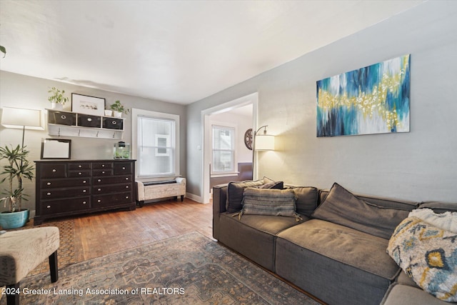 living room with hardwood / wood-style flooring