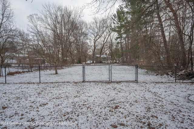 view of yard layered in snow