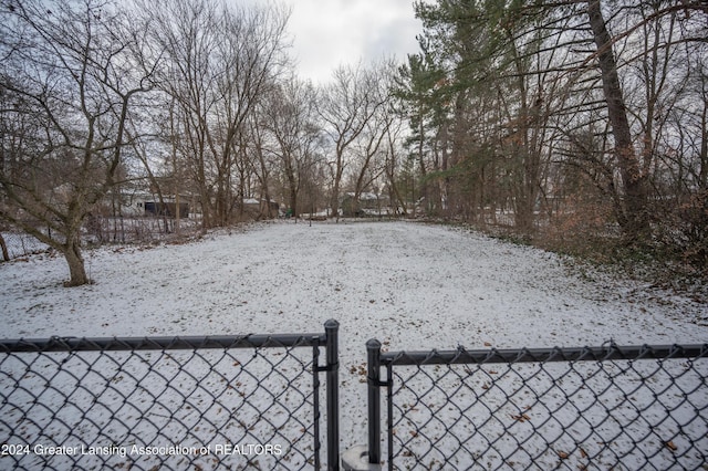 view of yard covered in snow