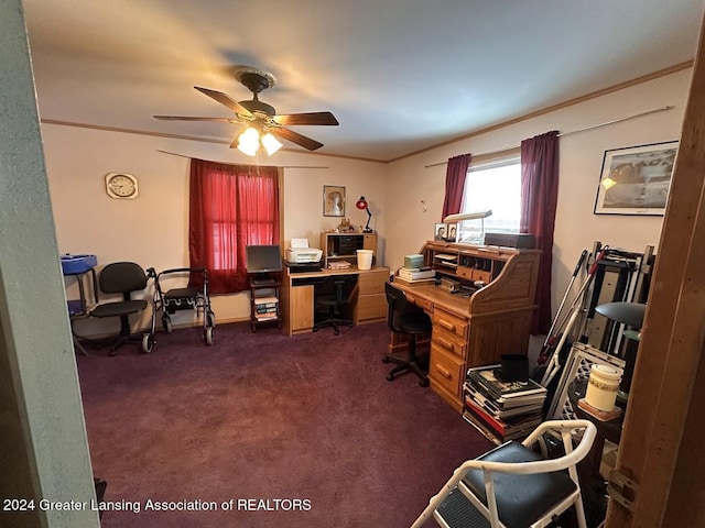 office featuring dark carpet, ceiling fan, and crown molding