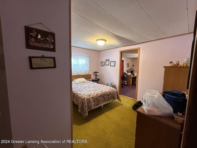 bedroom featuring carpet flooring and a textured ceiling