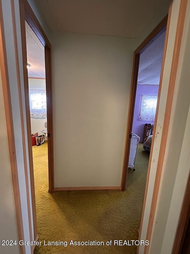 hall with carpet flooring and a textured ceiling